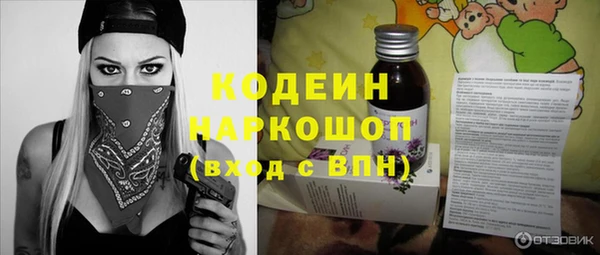 индика Балахна