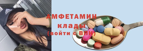 индика Балахна