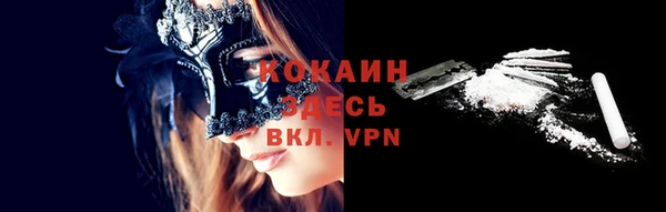 индика Балахна