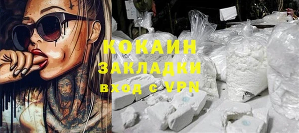 индика Балахна