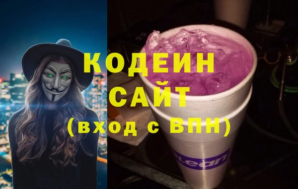 индика Балахна