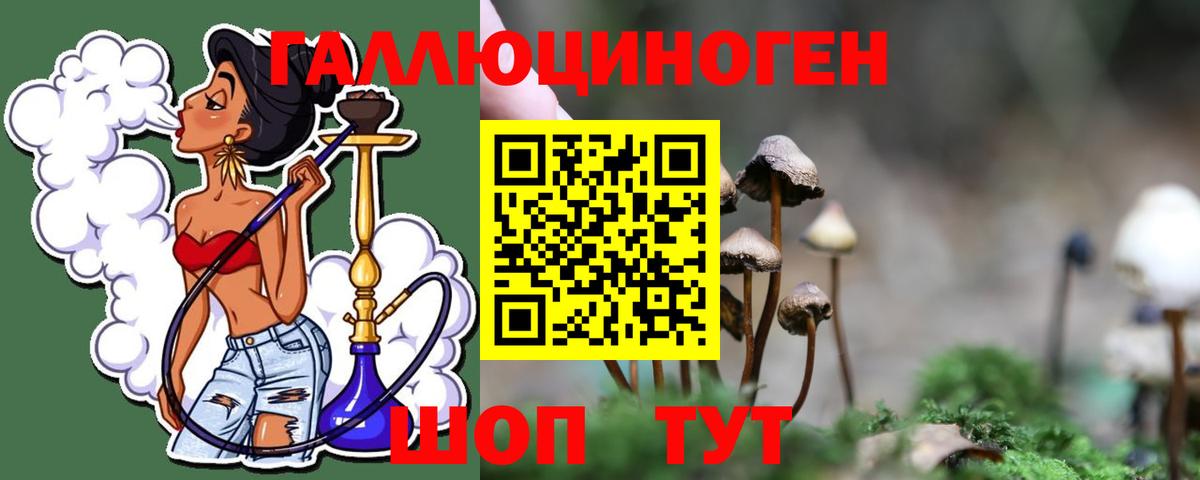 Псилоцибиновые грибы прущие грибы  Псилоцибиновые грибы MAGIC MUSHROOMS  Вход с VPN  Печора 